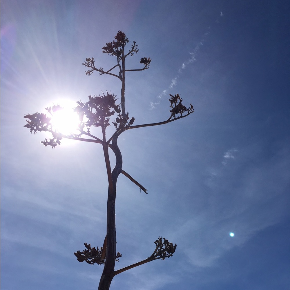 Meet your Posher, Zoe