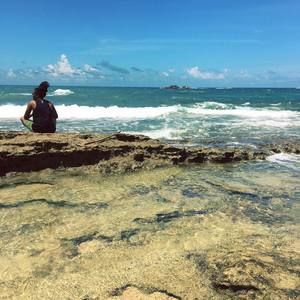 Meet your Posher, Lonice