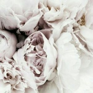 Meet your Posher, Matty