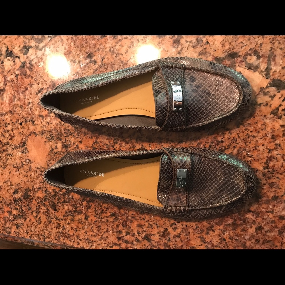 Coach Fredric's snakeskin loafer