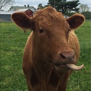 Meet your Posher, Taylor