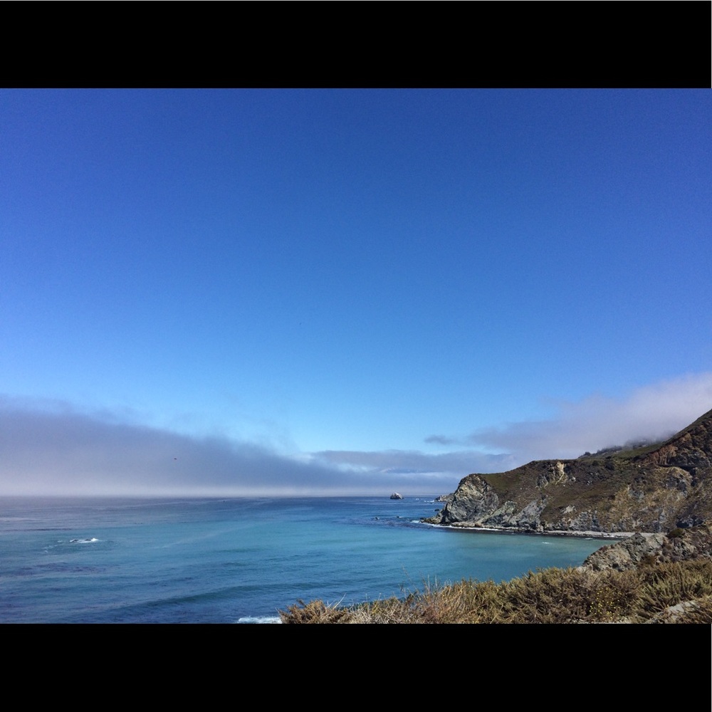 Meet your Posher, Lucy