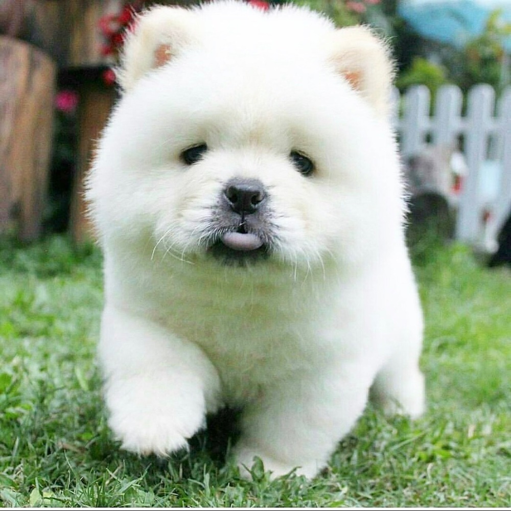 Meet your Posher, Nadia