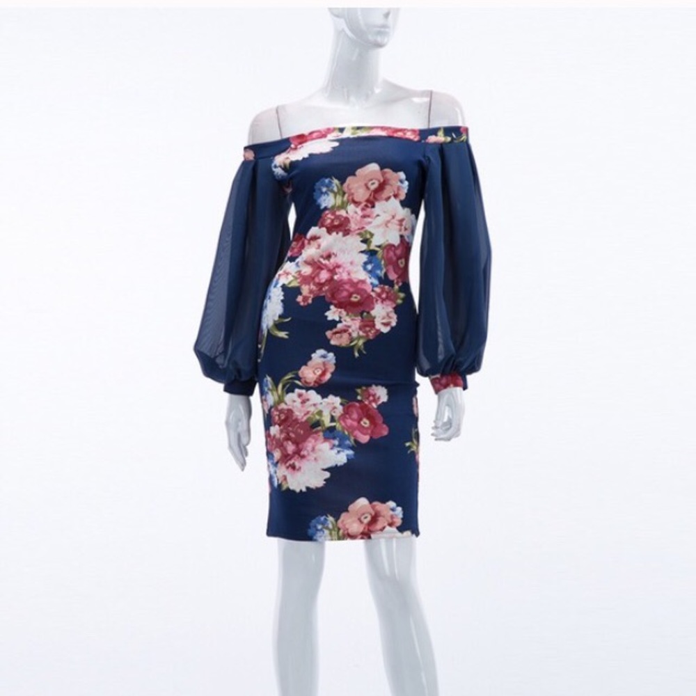 Super Cute! Off the shoulder Chiffon Sleeve Dress