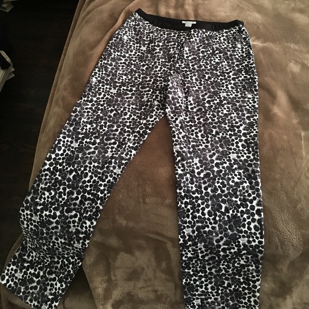 Dress pants