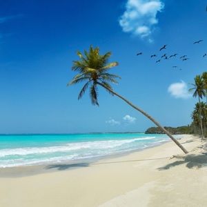 Listing is for only bathing suit top