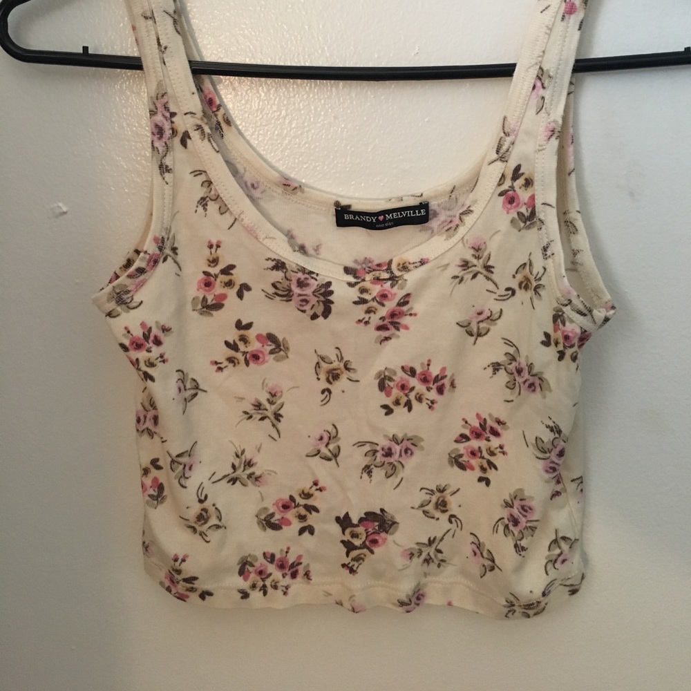 TWO Brandy Melville crop tops FOR ONE PRICE!!!