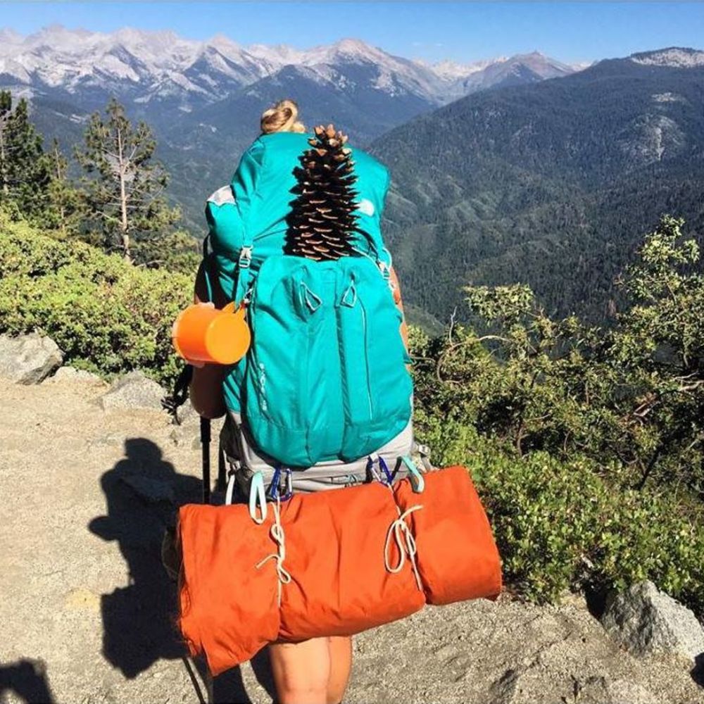 Meet your Posher, Cheyenne