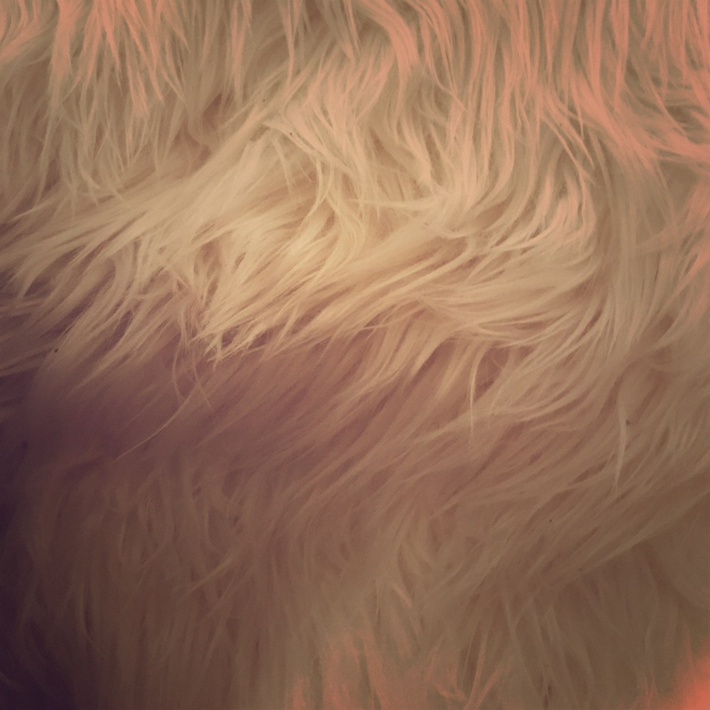 Meet your Posher, Twinky