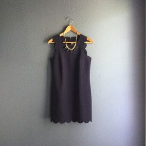 NEW☀️J.Crew Scalloped Shift Dress