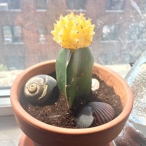 Meet your Posher, Jill