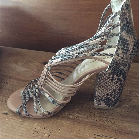 Brand new snake skin chunky heels - Picture 2 of 5