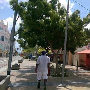 Meet your Posher, Marlon