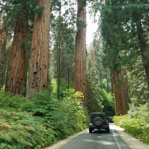 Meet your Posher, Emilia