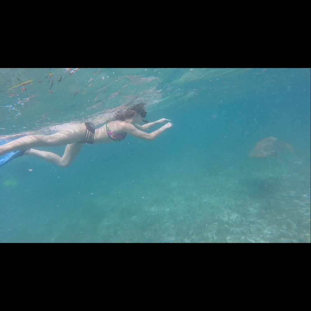 Meet your Posher, Erica