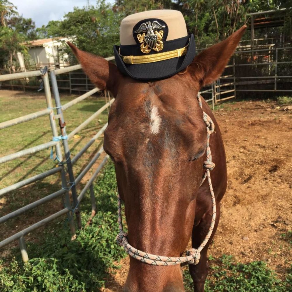 Meet your Posher, Krystyna