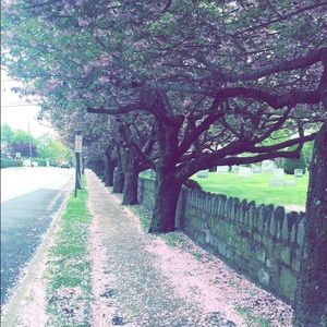 Meet your Posher, Ty