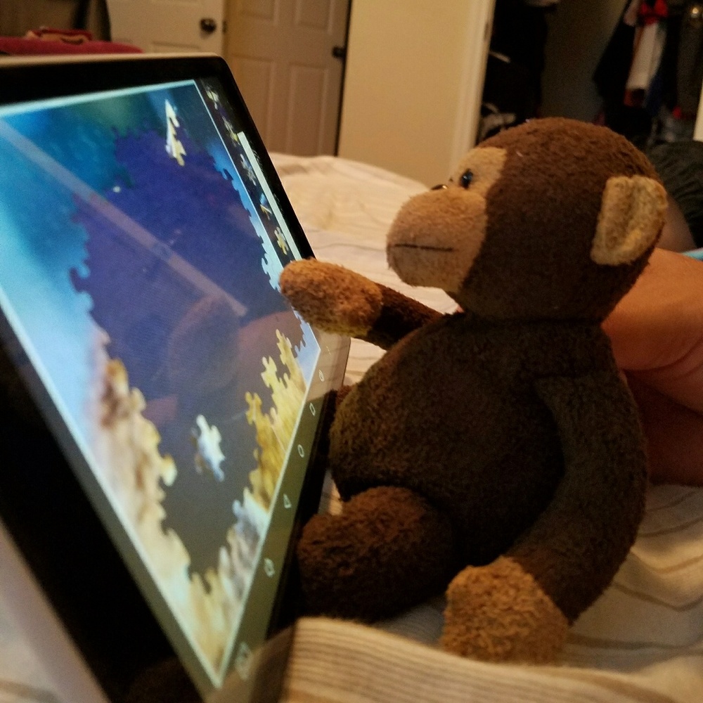 Meet your Posher, Elizabeth