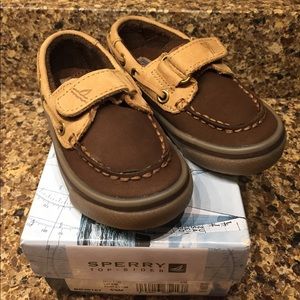 New in box boys size 51/2 medium Sperry's