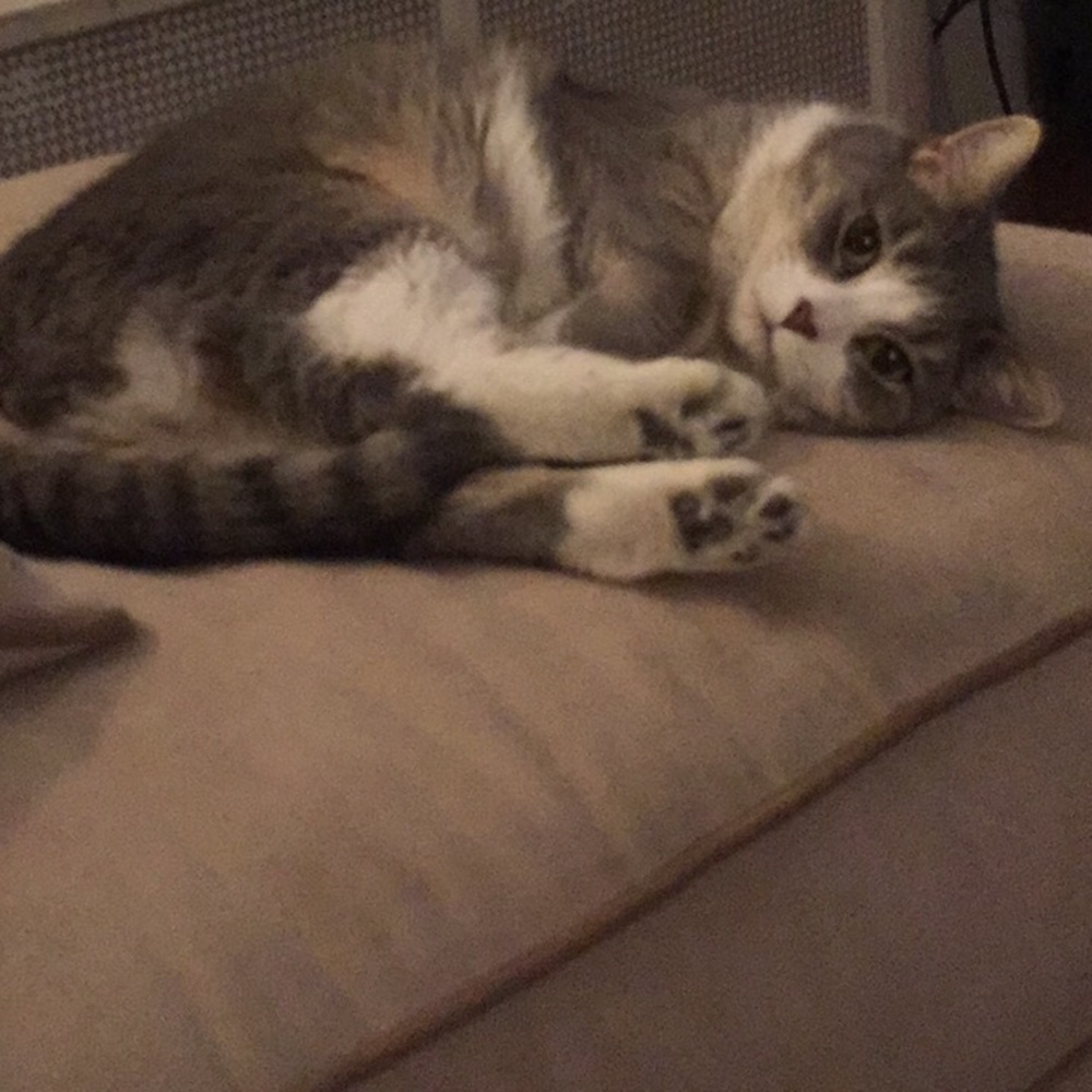 Meet your Posher, Maura