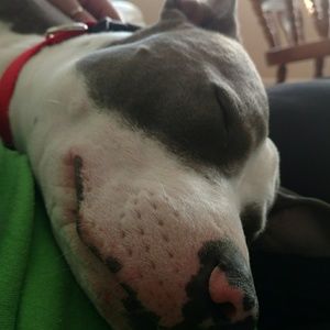 Meet your Posher, Nikki