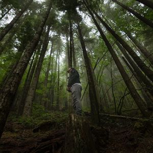 Meet your Posher, Charlie