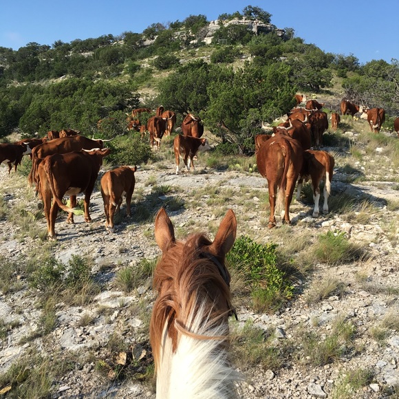 Meet your Posher, Linda - Picture 5 of 11
