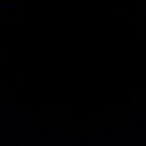 Meet your Posher, Shayne