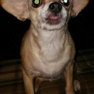 Meet your Posher, Sue