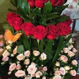 Meet your Posher, Ana