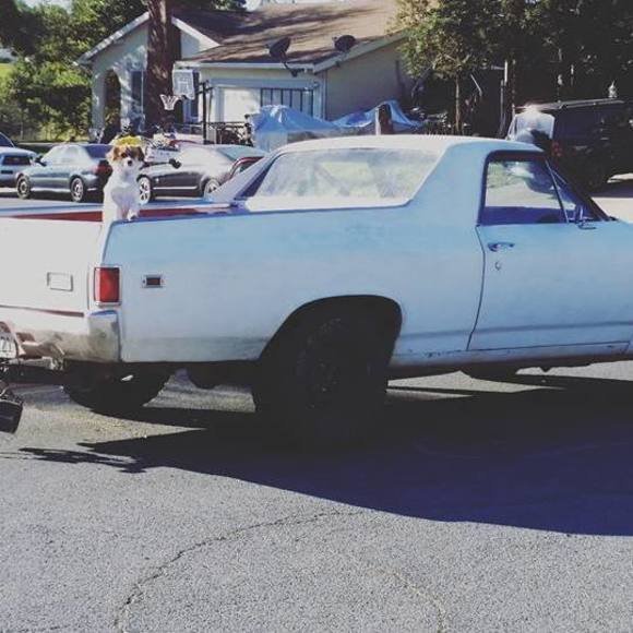 Meet your Posher, Andrew - Picture 1 of 1