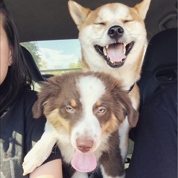 Meet your Seller! Marina ❤️✨🌺⭐️✨ - Picture 5 of 8