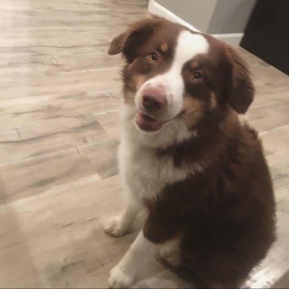 Meet your Seller! Marina ❤️✨🌺⭐️✨ - Picture 8 of 8