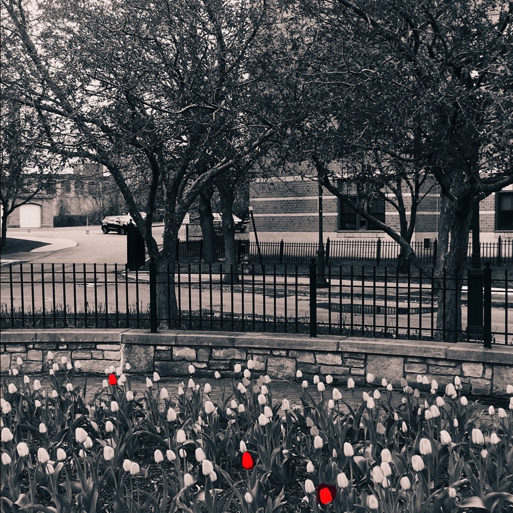 Meet your Posher, Denise