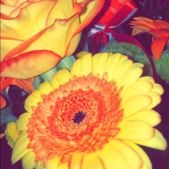 Meet your Posher, Alessia - Picture 1 of 1