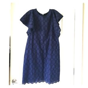 J. Crew Navy Eyelet Dress