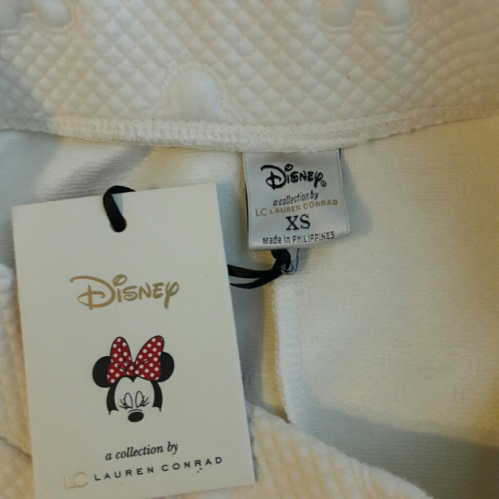 Disney skirt