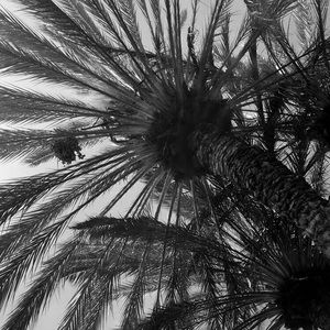 Meet your Posher, Elissa