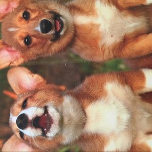 Meet your Posher, Marylou