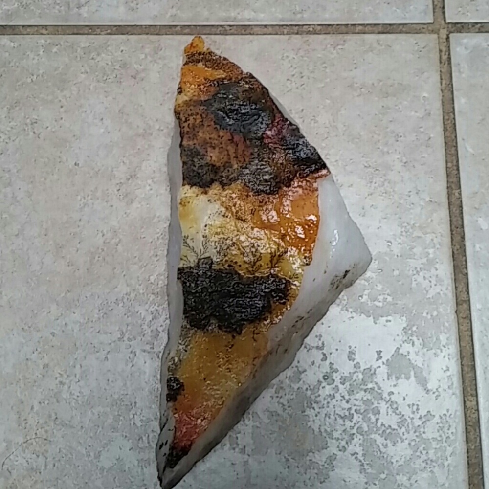 Quartz with plant dendritic patterns