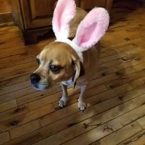 Meet your Posher, Carla