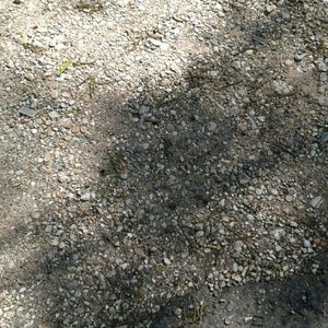 Meet your Posher, Tony