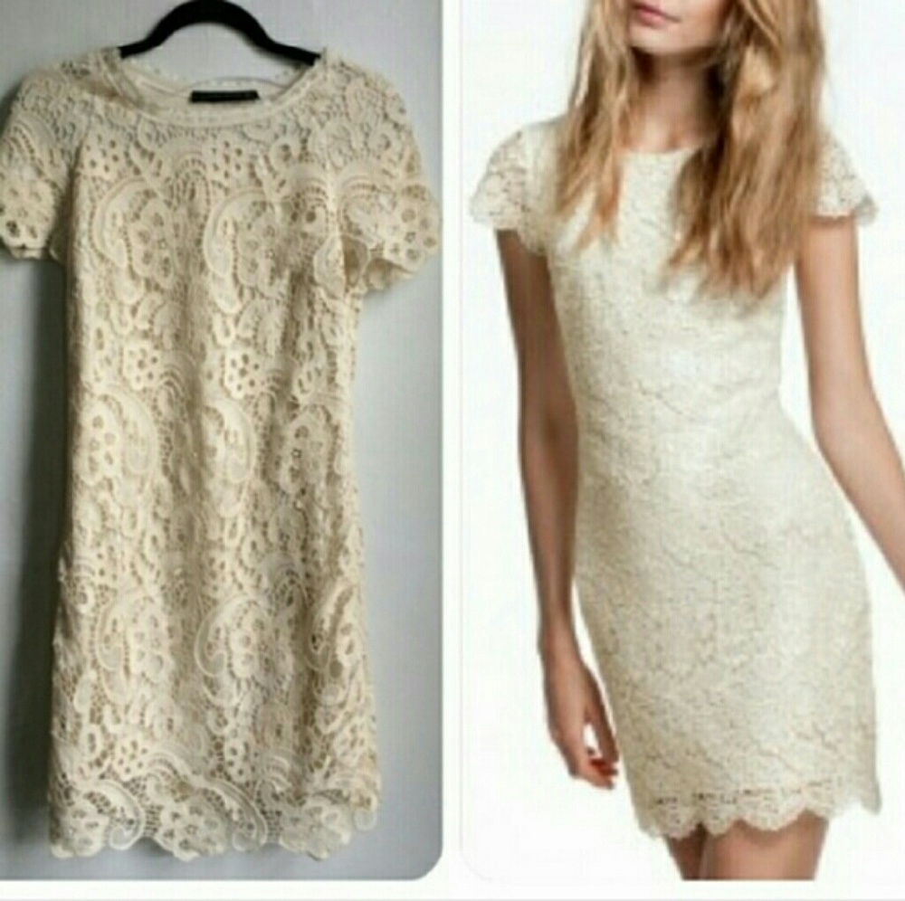 ZARA Guipure Lace Shift Dress