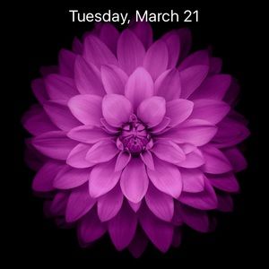 Meet your Posher, Jillian