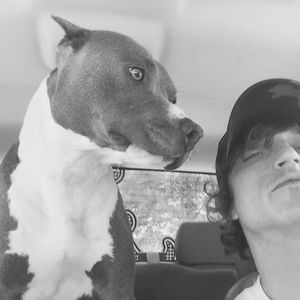 Meet your Posher, Lance