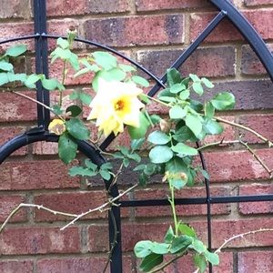 Meet your Posher, Dj