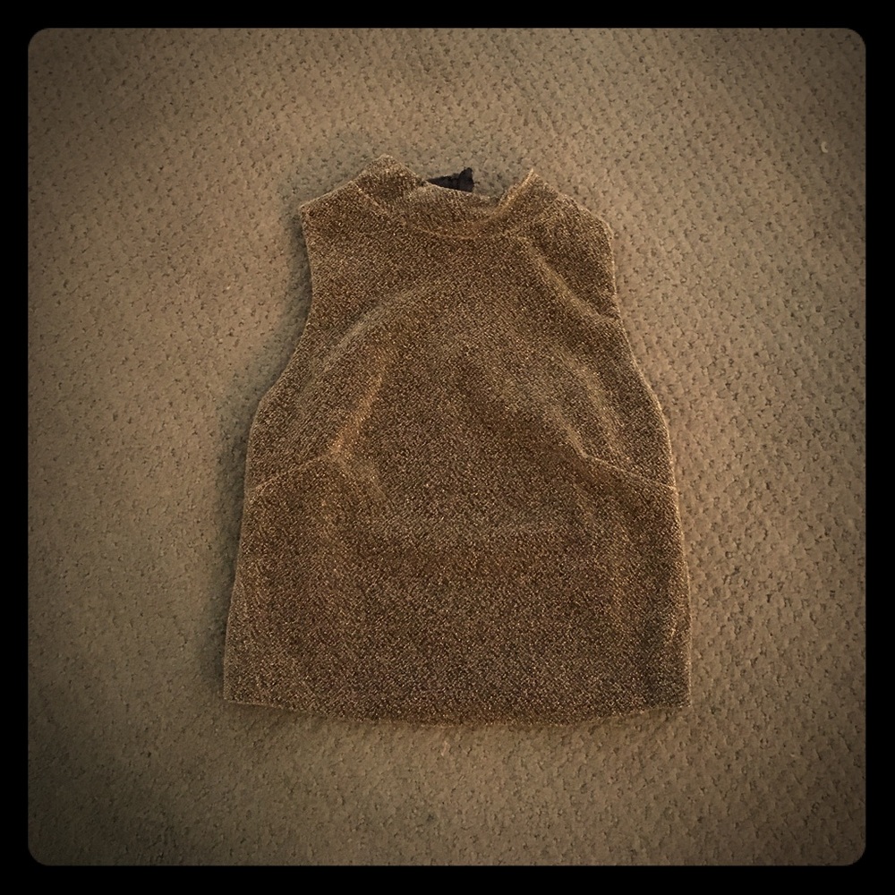 Golden sparkly crop top