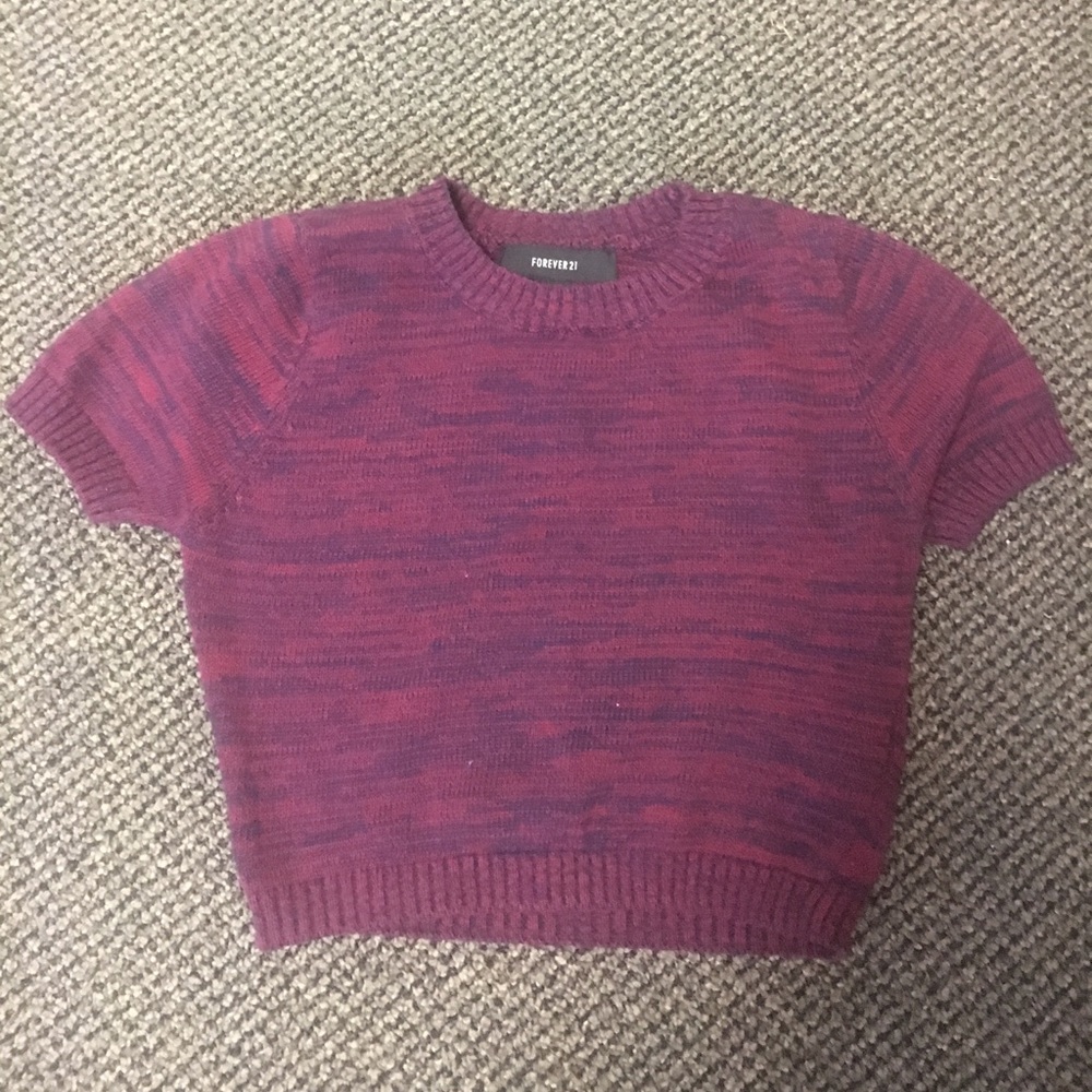 Mauve Crop Top