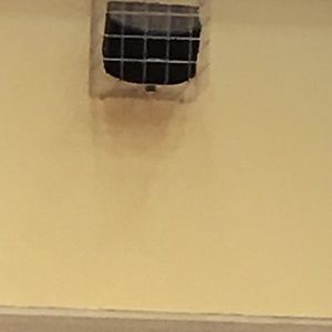 Meet your Posher, Luke