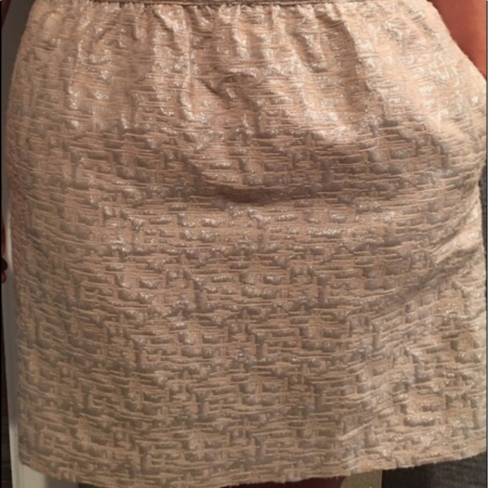 Ann Taylor mini skirt - Picture 4 of 4